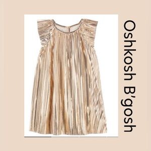 Oshkosh B’gosh Baby’s Metallic Flutter Dress Size (12m Girl) NWT